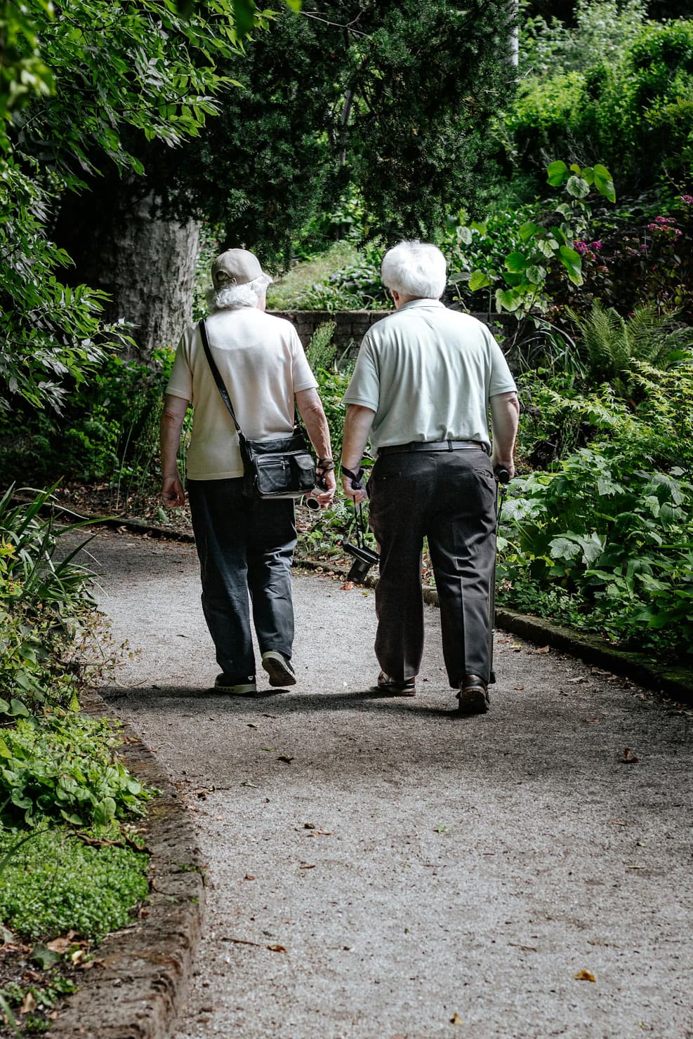 Casal de idosos caminhando juntos em um parque verde, representando hábitos saudáveis para prevenção do Alzheimer